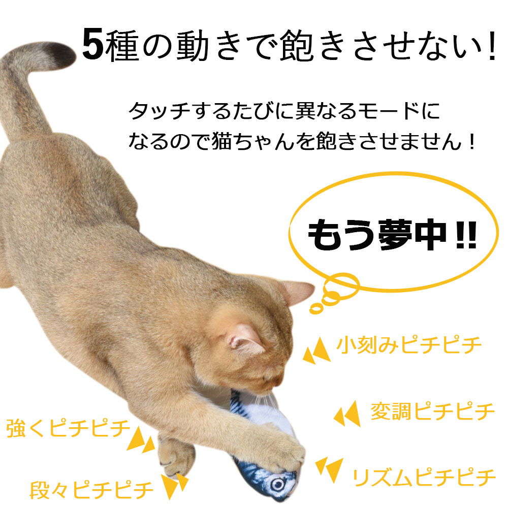 楽天市場】【クーポンで10％OFF 24日9:59まで】 お魚ピチピチ 猫