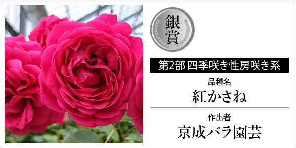 バラの家 公式本店 ロサオリエンティス【バラ苗 専門店】 日本ばら会