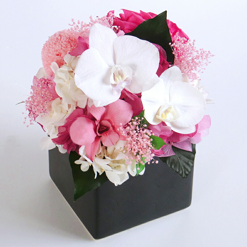 即日発送】プリザーブドフラワー #胡蝶蘭キューブM