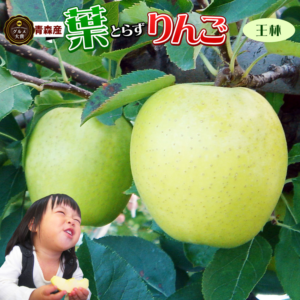 りんご の常識を変える☆葉とらず栽培 本場青森ゴールド農園 送料無料