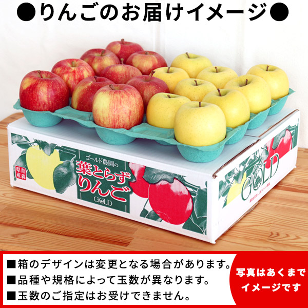 葉とらずりんご ふじ＋シナノゴールド ファーム5kg】(13-23玉)[※産地