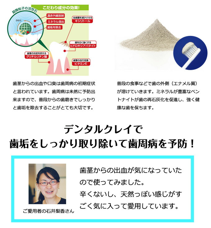 楽天市場】薬用デンタルクレイ 【5本セット】 活性石配合 歯医者さん
