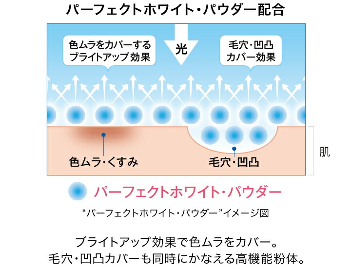 楽天市場】【店内P最大18倍以上開催】【DHC直販】くすみや色ムラを