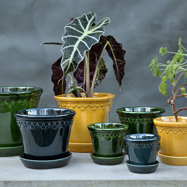 楽天市場】バーグスポッター コペンハーゲンポット 皿付き 12 /16