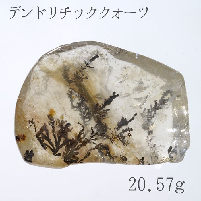 no.0322 雲の中のデンドリックと濁りのクォーツ　一点物 blog_202301005.png