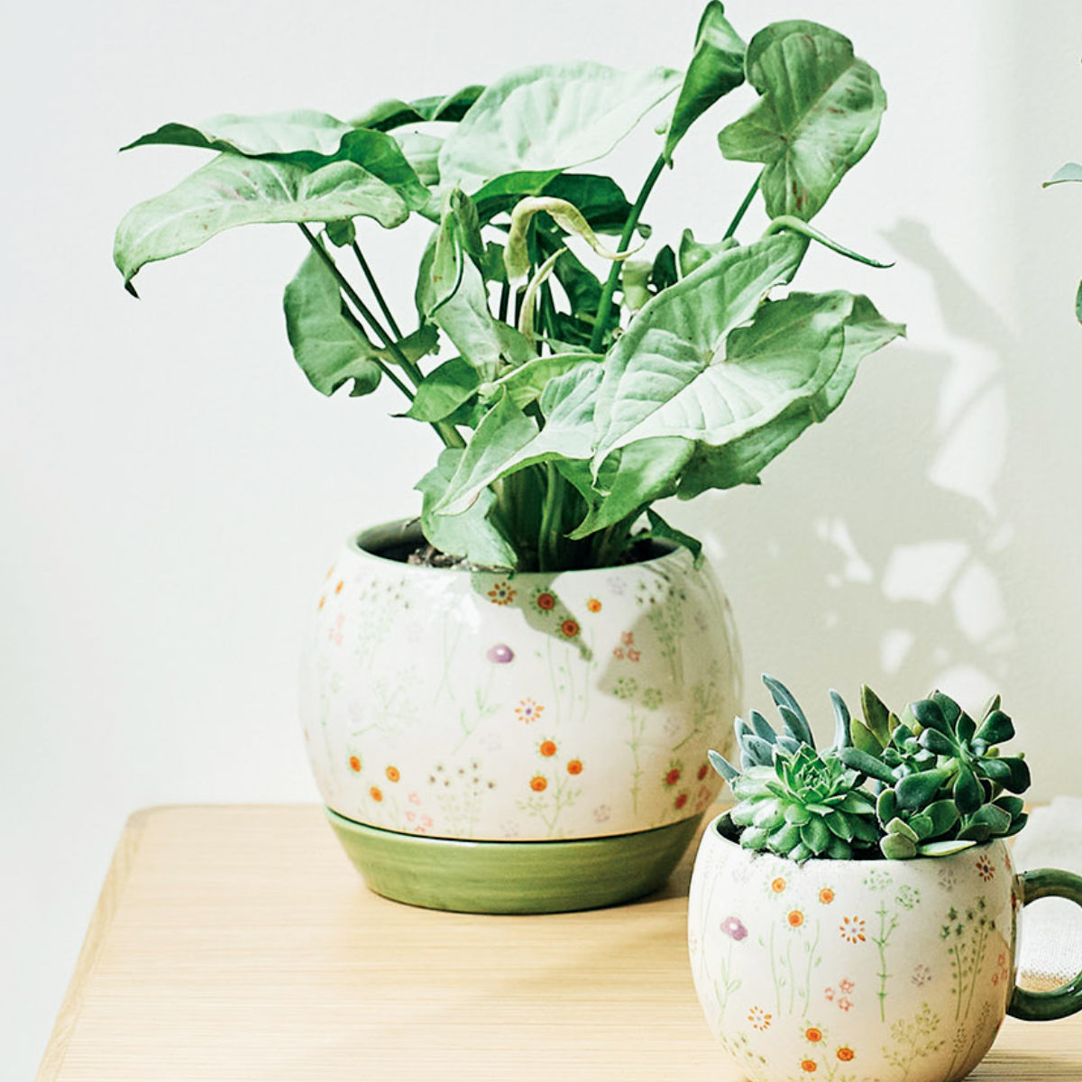 楽天市場】植木鉢 チェリッシュポット 3号用 （ フラワーポット