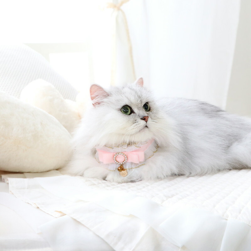 楽天市場】【ポイント10倍】ディズニー おしゃれキャット 猫 首輪