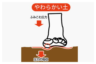 楽天市場】アシブラM01 S-L 男女共用 ashibra : トータルヘルスデザイン