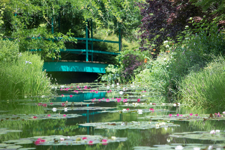 世界で2つしかない庭園「モネの庭」で、絵画の世界に迷い込む