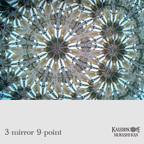 テレイドスコープ]The Teleidoscope-Bubinga/-Maple : Henry Bergeson