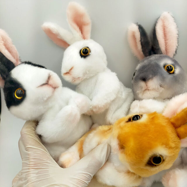 うさぎの出現～ スプリングラビット（ギミックバンダナセット