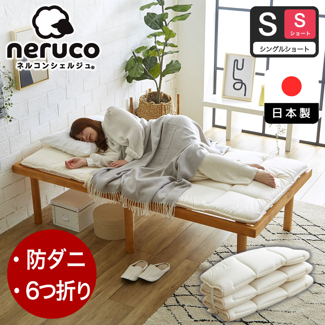 14013631.jpg?t=20241113114709