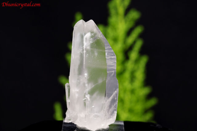 レムリアンシードクリスタル/タントリックツイン/セラドカブラル産(A110)