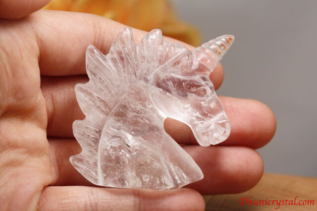 d236-5.jpg?t=20240317145019