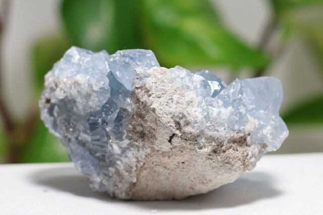 セレスタイト原石/天青石(A596)