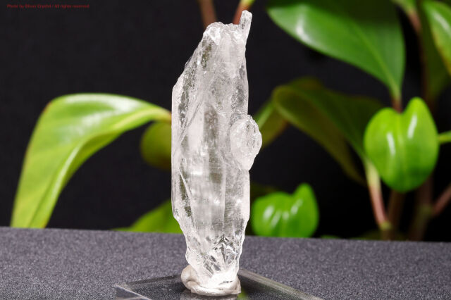 一点物】レムリアンシードクリスタル原石｜成長線が刻まれた高波動の