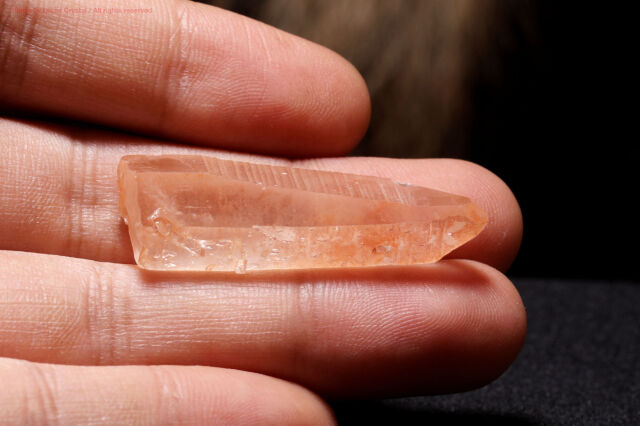 スカーレットテンプル・ピンクレムリアン｜愛と癒しの神殿を宿す