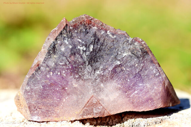 スカーレットテンプル・ピンクレムリアン｜愛と癒しの神殿を宿す