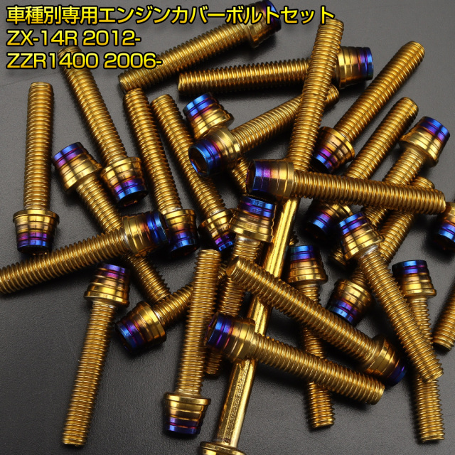 エンジンカバー ボルトセット ニンジャ ZX-14R ZZR1400 29本セット