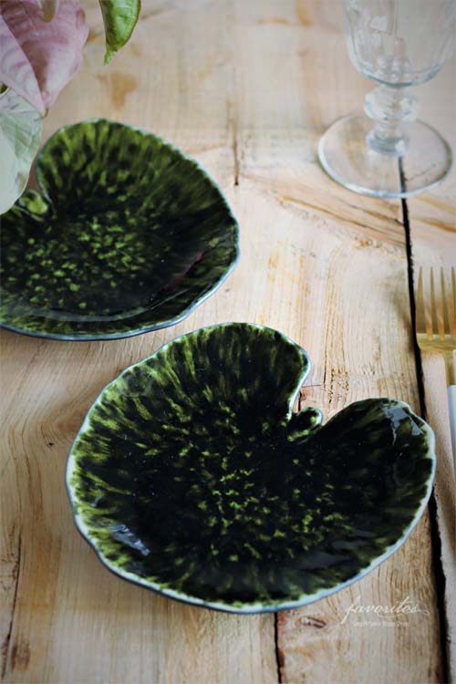 COSTA NOVA（コスタノバ） ｜RIVIERA（リヴィエラ） アルケミルリーフ