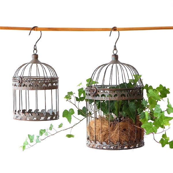鳥かご アイアン インテリア ガーデニング シャビー アンティーク 観葉