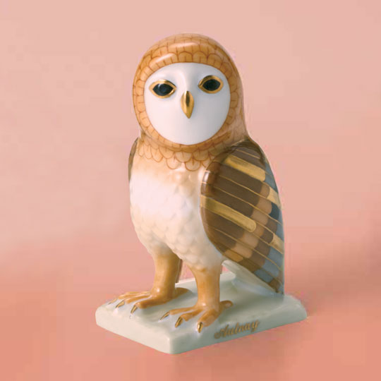 世界のふくろう] オールネーのふくろう