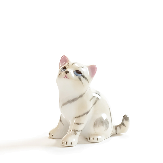 ファンシー] 子猫 ルッキングアップ