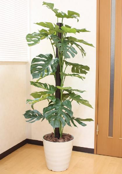 光触媒 光の楽園モンステラ 高さ 1.5m【インテリア フェイクグリーン