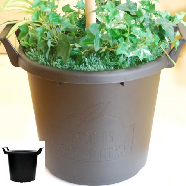 光触媒 光の楽園 ベンジャミン 高さ 1.8m【インテリア フェイク