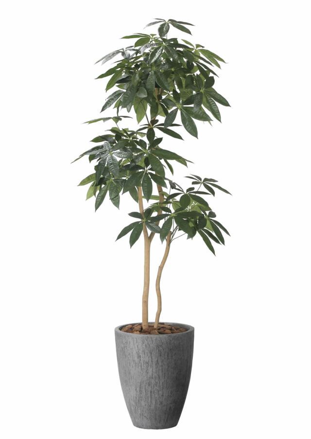 光触媒 光の楽園 デザインベンジャミン1.8m【インテリア フェイク