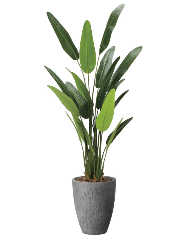 光触媒 光の楽園 ナチュラルストレチア花付き1.7m【インテリア