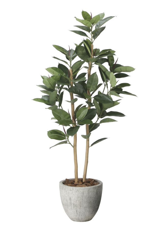 光触媒 光の楽園 ウッドボックスマウンテンアッシュ1.6m【インテリア