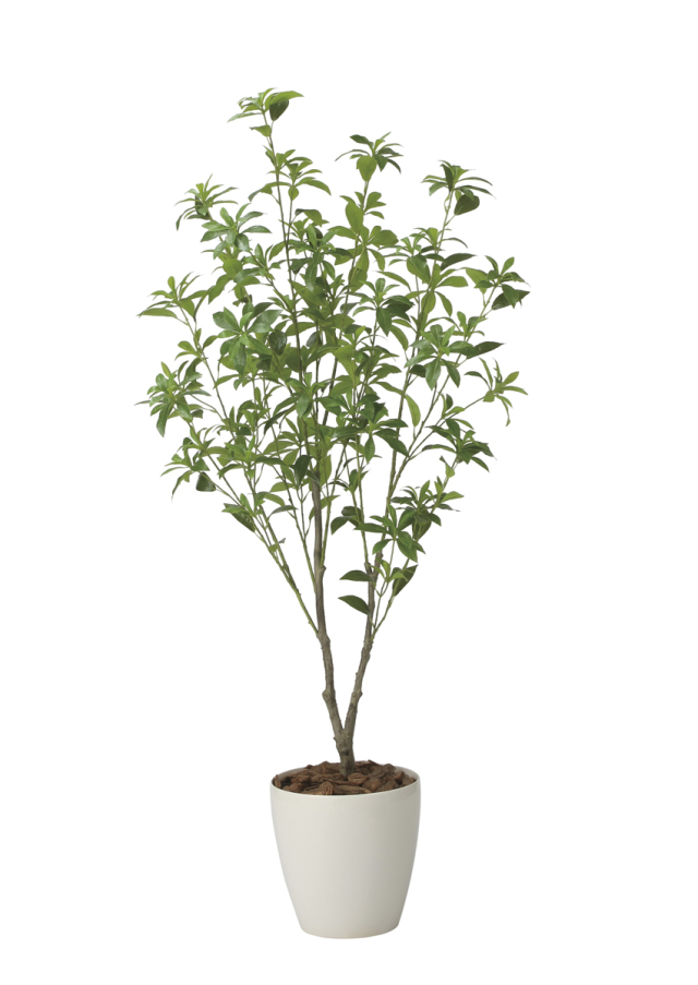 光触媒 光の楽園 フレッシュ細葉ユーカリ1.7m【インテリア フェイク