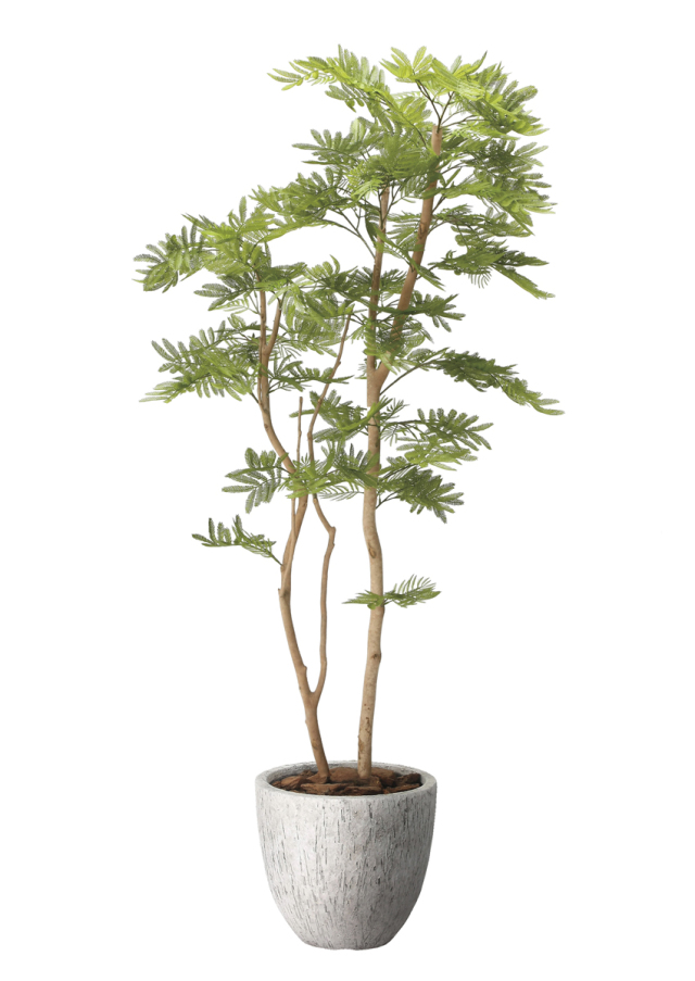 光触媒 光の楽園 ツイストウンベラータ1.9（組立式）【インテリア