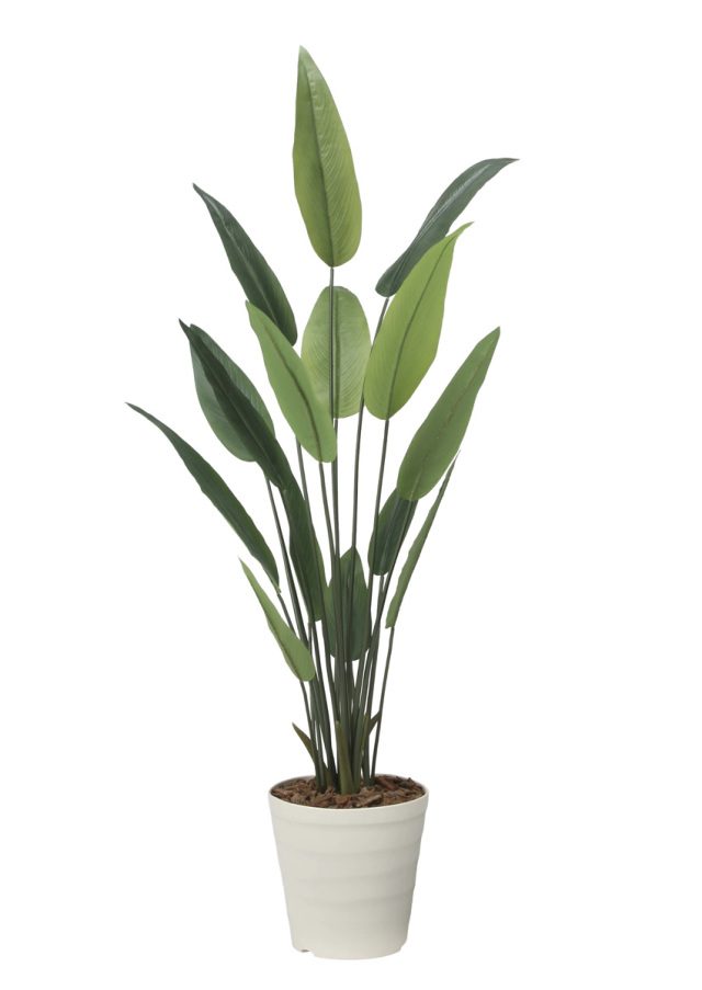 光触媒 光の楽園 ウッドボックスマウンテンアッシュ1.6m【インテリア