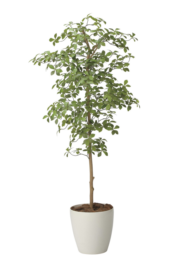 光触媒 光の楽園 ツイストアルテシマ2.1m(組立式)【インテリア