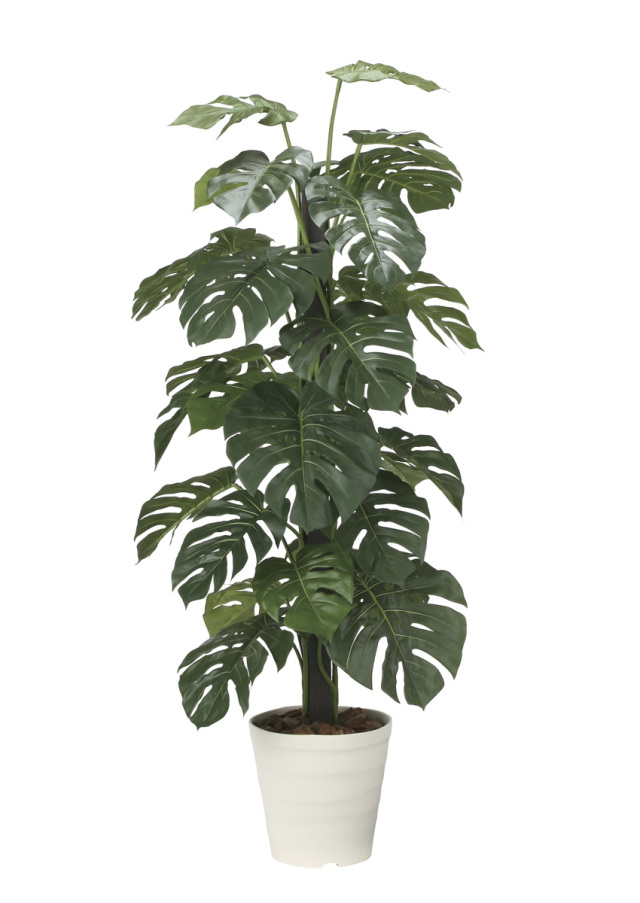 光触媒 光の楽園 ナチュラルパキラ1.6m【インテリア フェイクグリーン