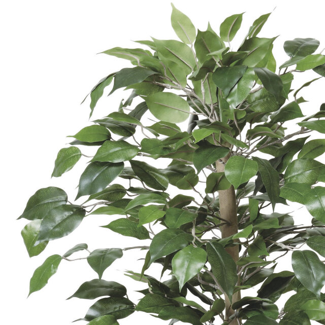 光触媒 光の楽園ベンジャミン 1.0m【インテリア フェイクグリーン 人工