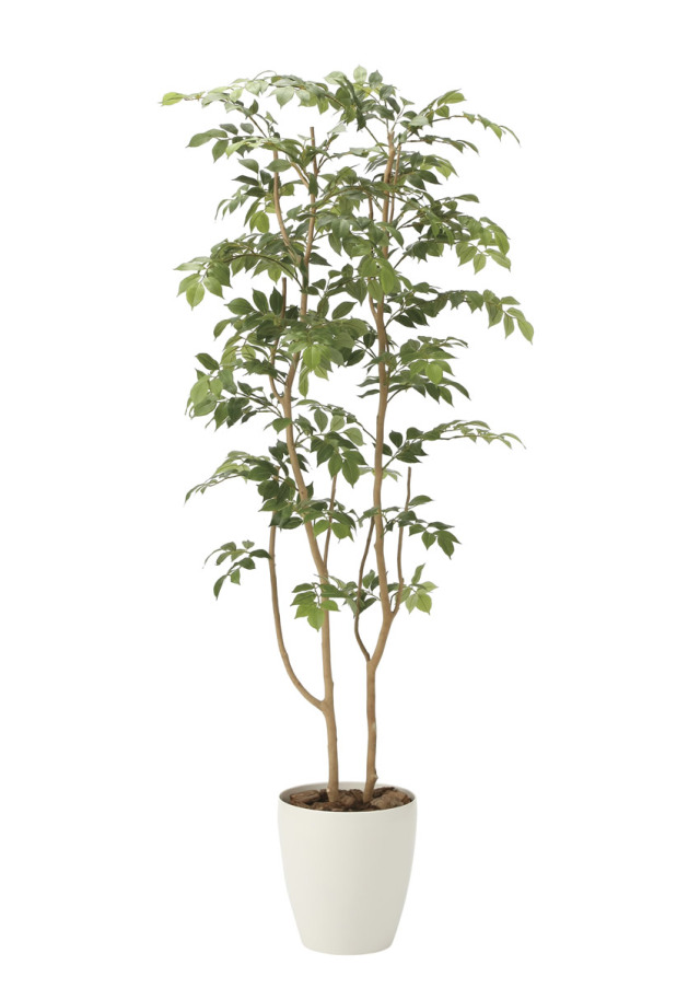 光触媒 光の楽園 スリムフィカストライアングル1.6m【インテリア