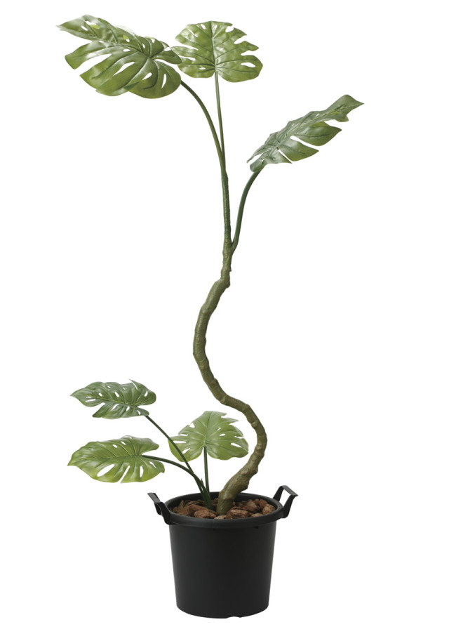 光触媒 光の楽園 ウッドボックスウンベラータW1.8m【インテリア