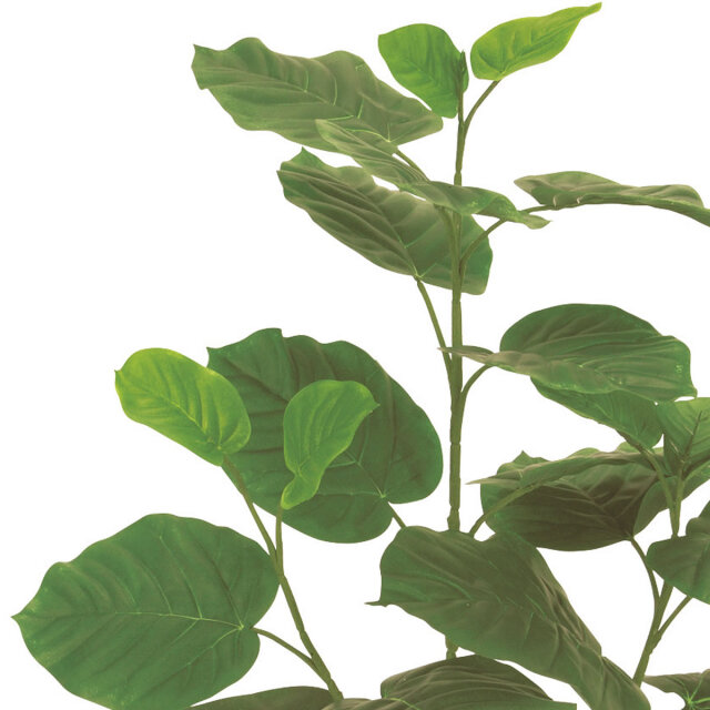 光触媒 光の楽園ウンベラータ 高さ 80cm【インテリア フェイク