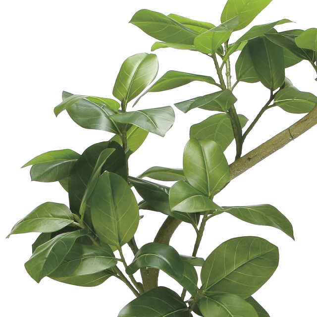 光触媒 光の楽園 ツイストアルテシマ2.1m(組立式)【インテリア