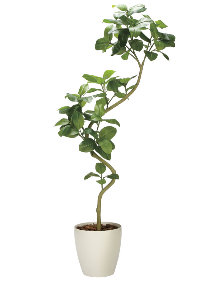 光触媒 光の楽園 ストレチア 1.1m【インテリア フェイクグリーン 人工