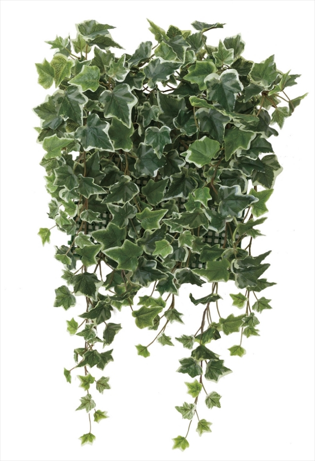 光触媒 光の楽園 壁掛けウッドボックス【インテリアグリーン 人工観葉