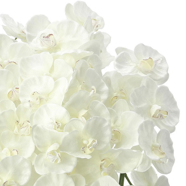 光触媒 光の楽園プレミアム胡蝶蘭7本立W【アートフラワー 造花