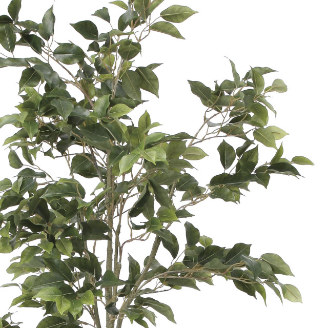 光触媒 光の楽園 フィカスツリー1.8m【インテリア フェイクグリーン