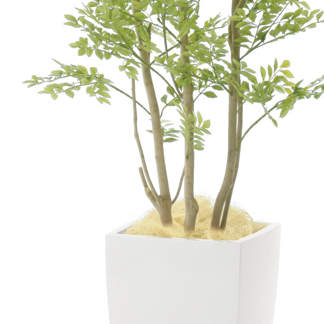 光触媒 光の楽園 アーバンゴールデンリーフ1.8m【インテリア フェイク