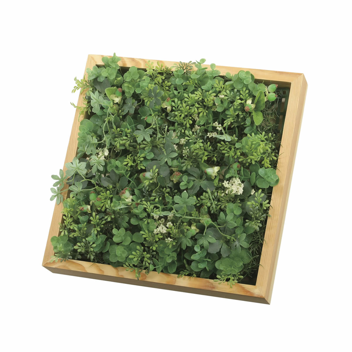 光触媒 光の楽園 壁掛けウッドボックス【インテリアグリーン 人工観葉