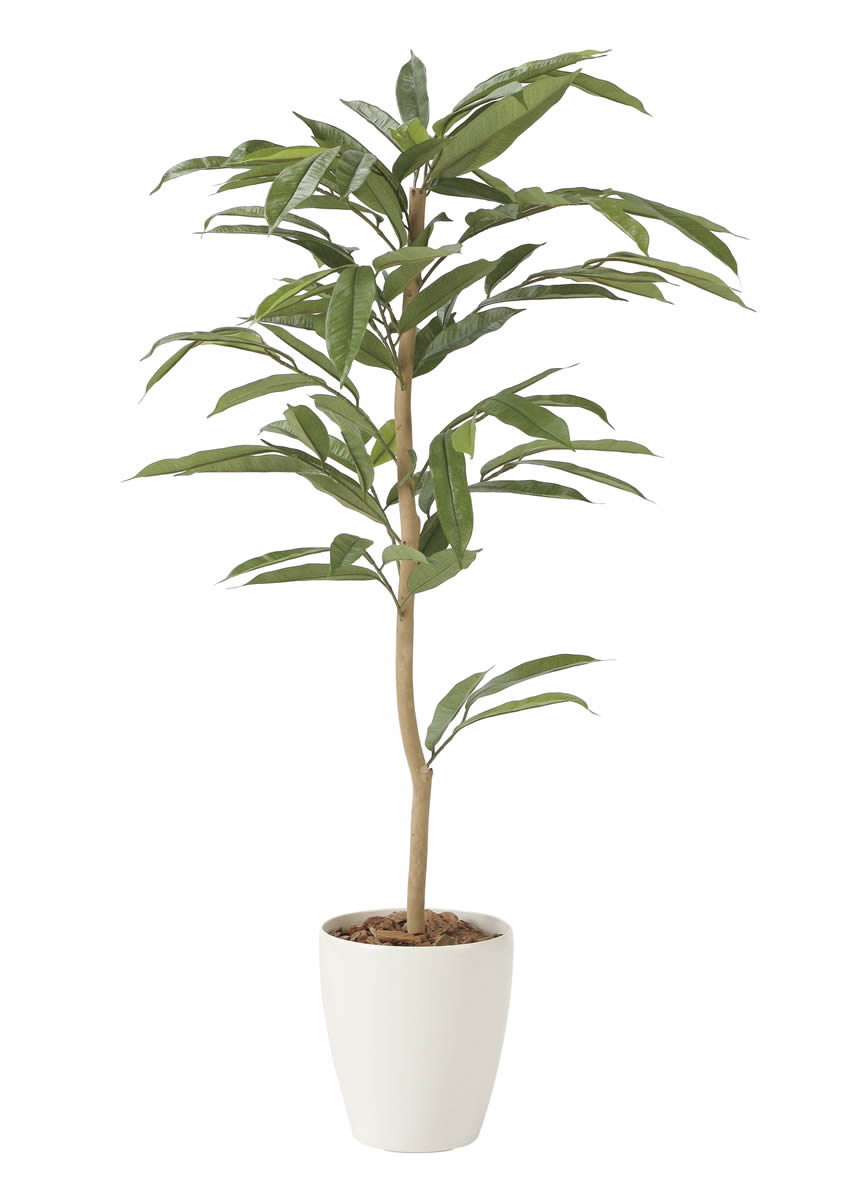 光触媒 光の楽園 アムステラバーキング 1.2m【インテリア フェイク