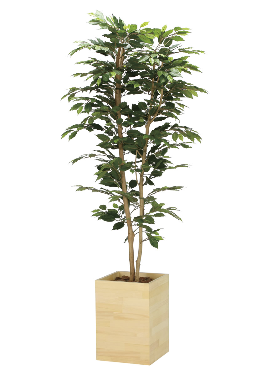 光触媒 光の楽園 ウッドボックスベンジャミン1.8m【インテリア